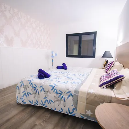 Apartamento En El Sur De La Isla